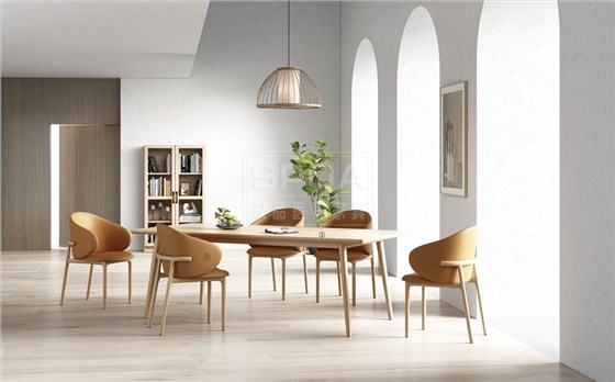 休闲椅 (1) 休闲椅 (1)